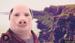 Kiwi peppa pig