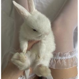 ♡˳ ˚