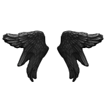 Black Voided Seraphim Angel Wings