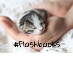 #flashbacks