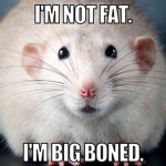 Des rats ta peur