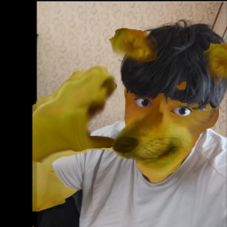 The Dog cart Ride