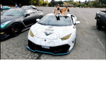 Dogs on lamborghini's