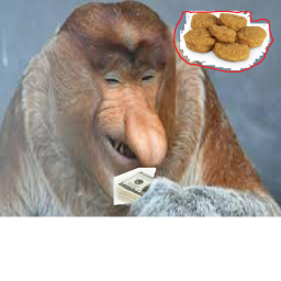 The Chicken Nugget Business