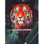 maxbrusher999 Offical YT group