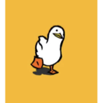 DuckyPlays