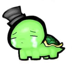 ONLY-TURTLES-TURTLES-YT