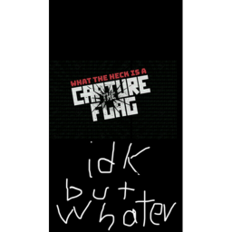 Capture the flag