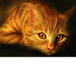 The Golden Cats