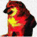 Doggo peopl botl