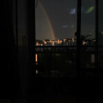 night