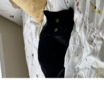 tassy.the.cat