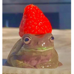 The cherry frogs <3