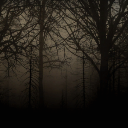 Dead Trees