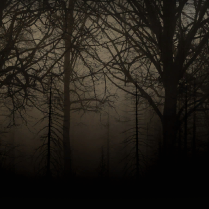 Dead Trees