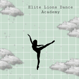 (BETA) Elite Lions Dance Studio