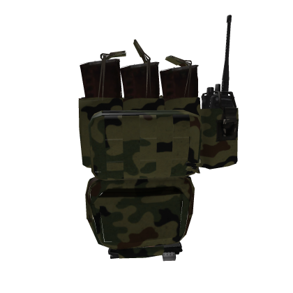 Polish Military WZ 93 AK Mags 