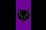UDR Ground Forces