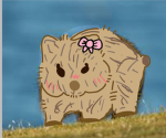 The wombat crew