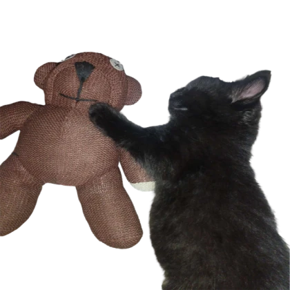 michichi