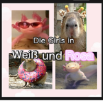 Die Girls in weiß und rosa