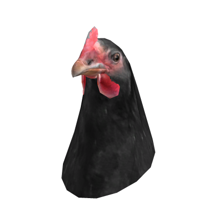 Asset 82795348303880