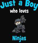 The secret spy ninja buddy’s