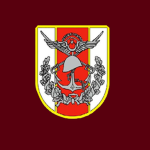 | TSK | askeri şubesi