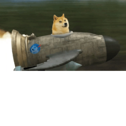 Doge training