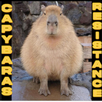 Capybara resistance