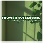 envyish evergreens