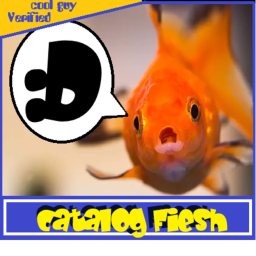 💫 | Catalog Fiesh