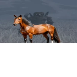 sahurgraven dev place icon