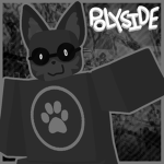 POLYSIDE