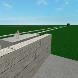 Red Area Level Crossings