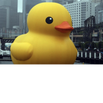 Duck god army