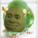 Shrek fan club only boi