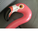 Flamingo land flamingo land