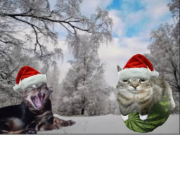Simbas WaterGun Fight (Winter Update)