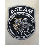 Brooklyn County SWAT Team