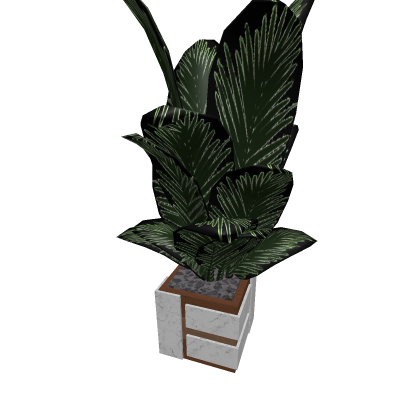 Modern Plant For Decoration