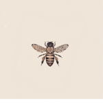 the hive - clothing shop