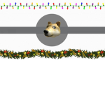 Dogz Nation