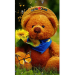 The big teddy bears