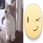 miyiko