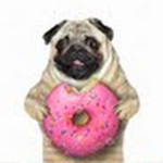 Donuts donuts