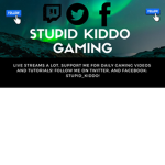 Stupid_Kiddo Gaming Fanclub