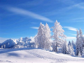 THE SNOW NOOB MONTAIN XD 