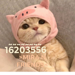mira n friends!