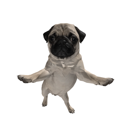 Pug Dog Pet Dancing - Viral Meme (White)